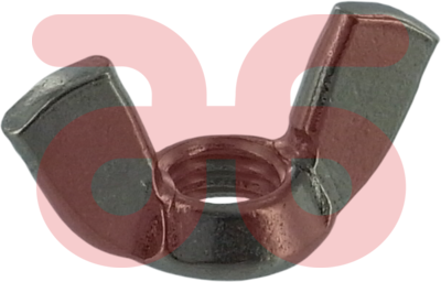 Vleugelmoeren r.v.s.  m 5