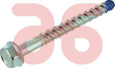 Schroefanker met zeskantkop 10x75mm