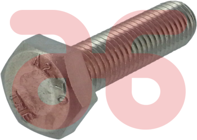 Rvs tapbouten a2 m16x60